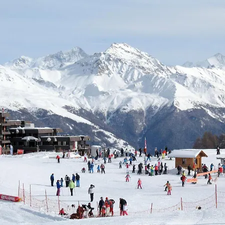 Arzinol 106 By Interhome